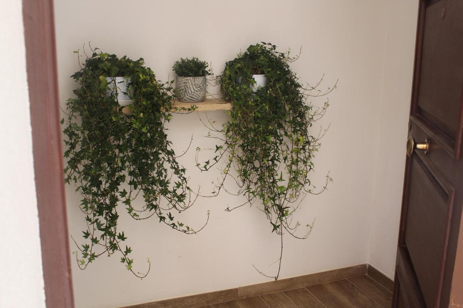 Apartament Annale Marsala Zewnętrze zdjęcie